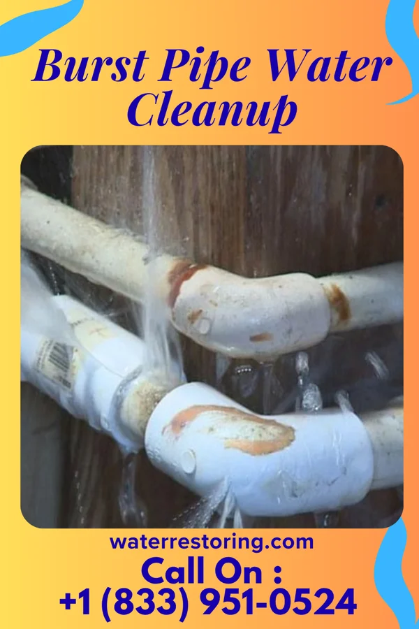 Burst Pipe Water Cleanup in La Porte, IN