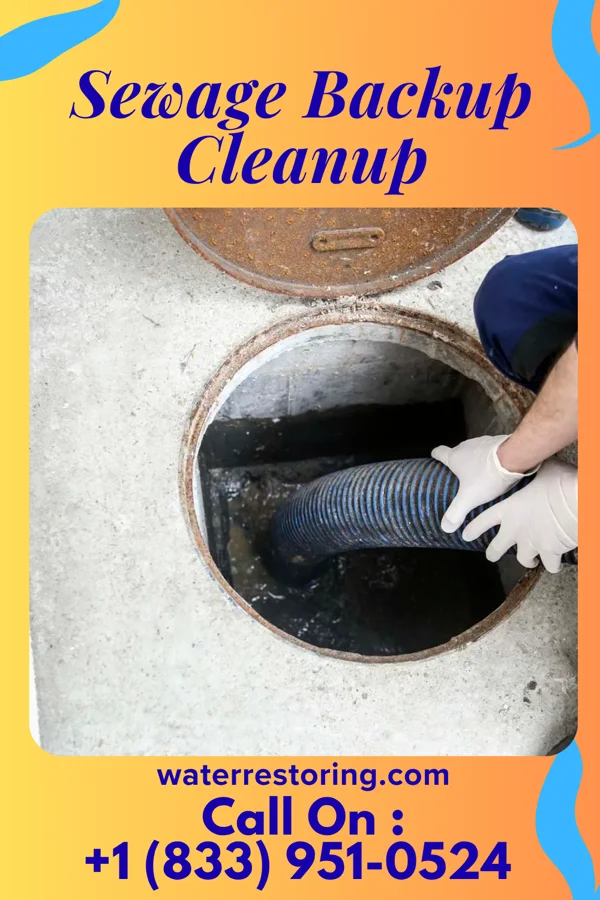 Sewage Backup Cleanup in La Porte, IN